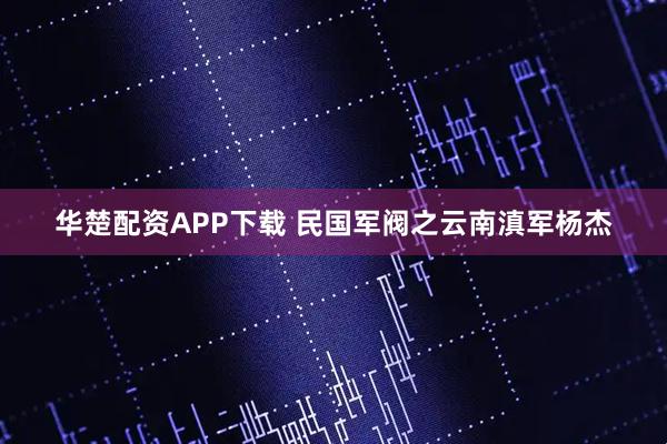 华楚配资APP下载 民国军阀之云南滇军杨杰