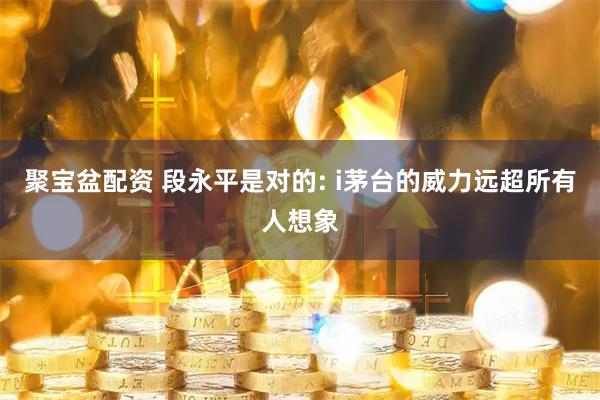 聚宝盆配资 段永平是对的: i茅台的威力远超所有人想象